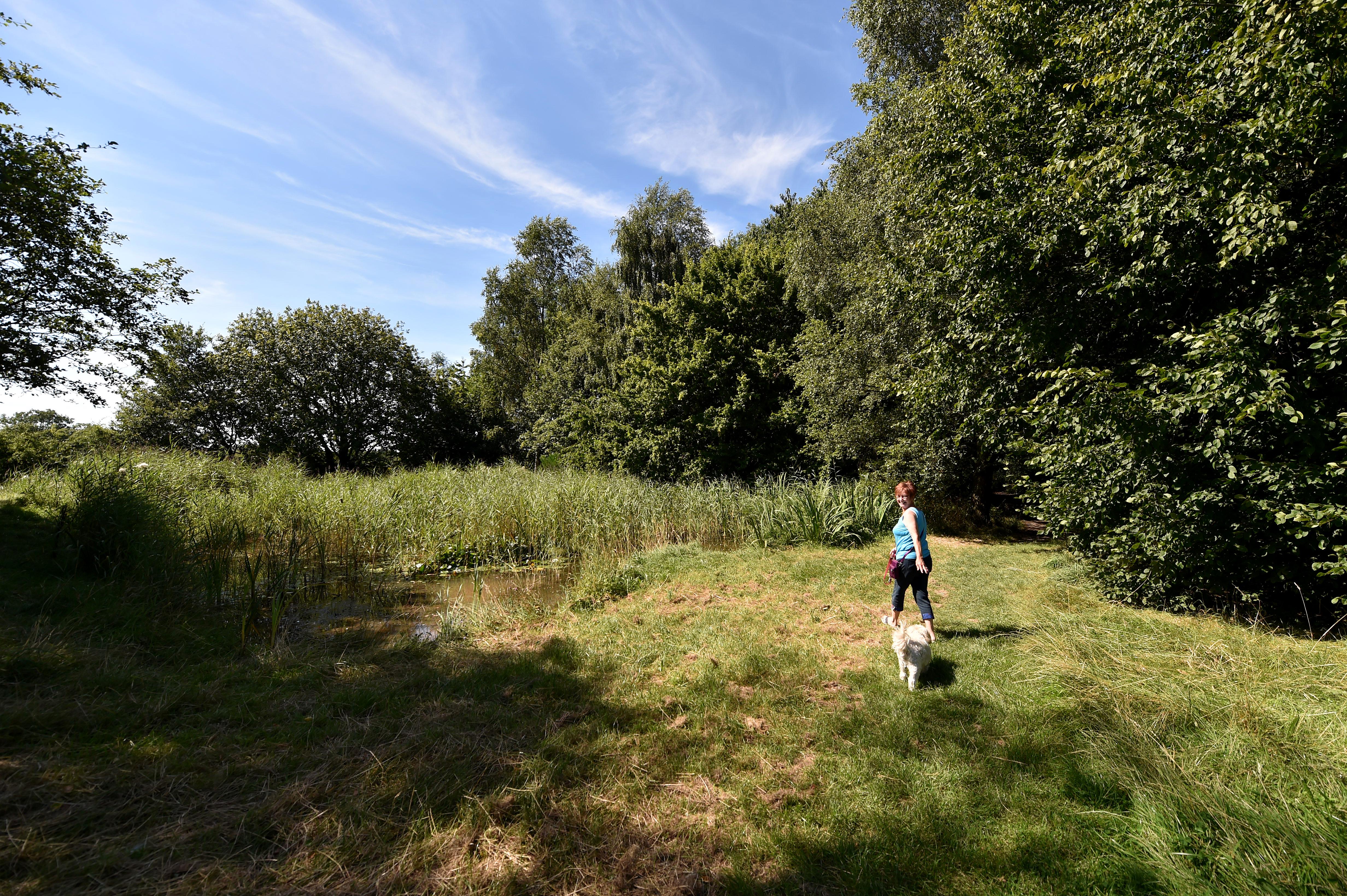 Woman walking dog