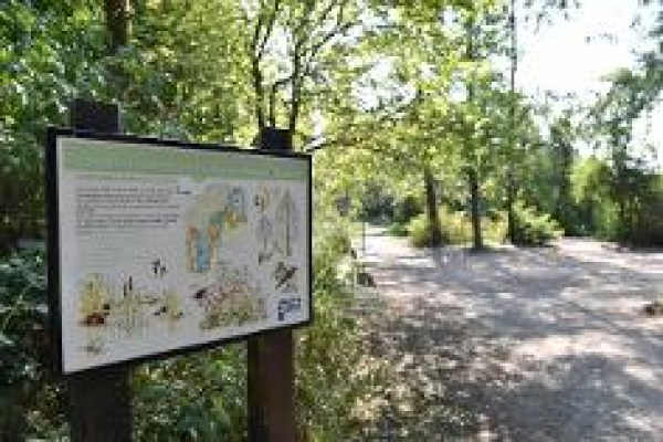 Longton brickcroft nature reserve